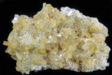 Plate Of Gemmy, Chisel Tipped Barite Crystals - Mexico #78139-1